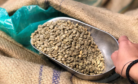 Colombia Geisha Coffee