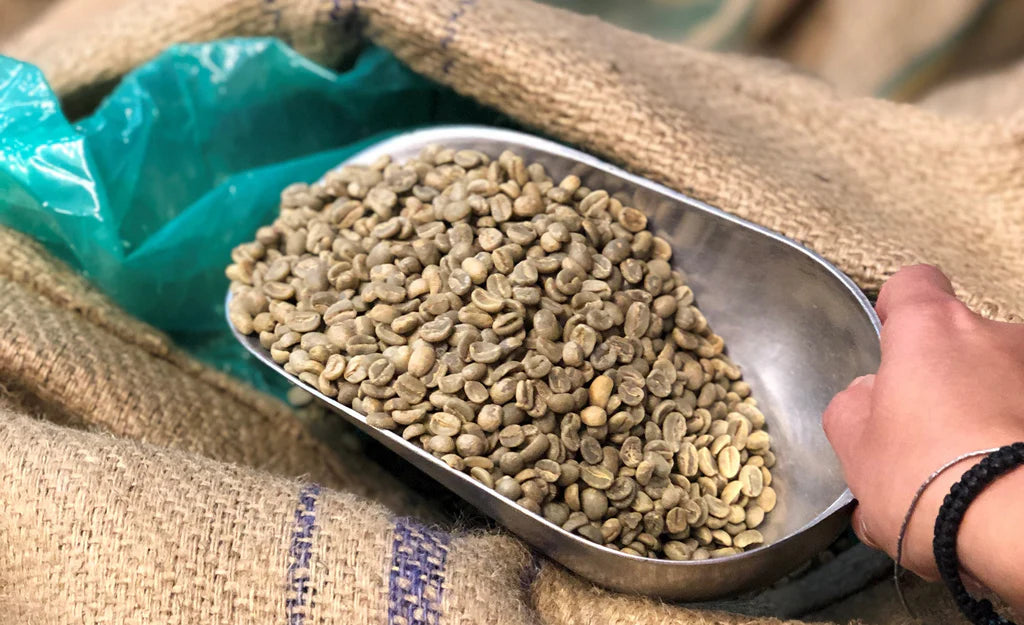 Colombia Geisha Coffee