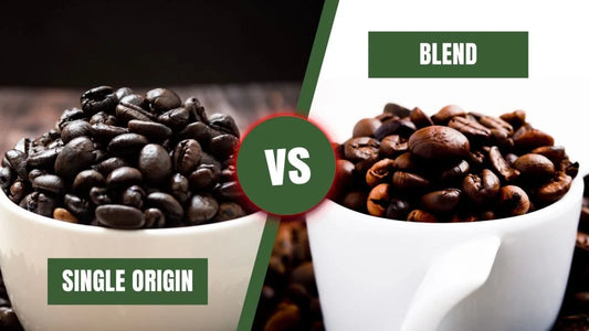 Understanding Single-Origin vs. Blended Coffee: What's Right for You